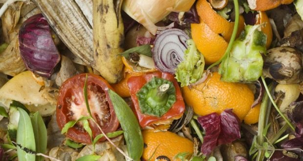 5 Clever And Unique Ways To Reuse Old Food Scraps Off The Grid News