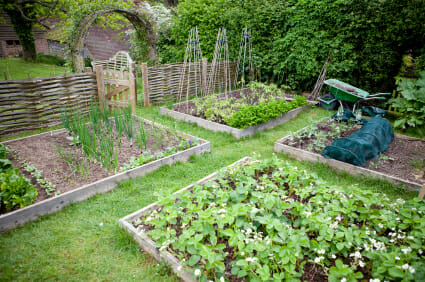 Planning Your Garden In Six Easy Steps - Off The Grid News