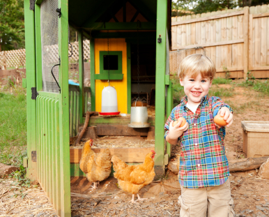 Teach Your Kids The Love Of Living Off-The-Grid - Off The Grid News