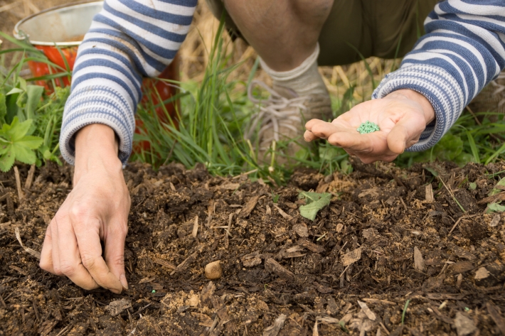 How To Keep Big Ag From Profiting From YOUR Garden - Off The Grid News