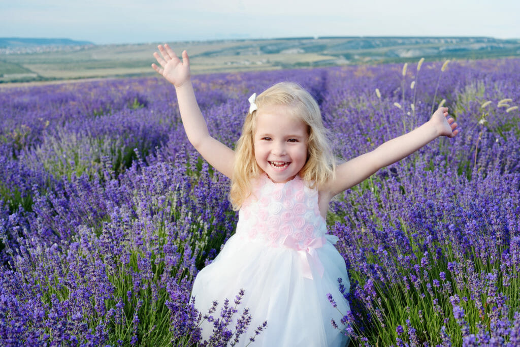 Grow Lavender This Summer And Harvest These Remarkable Benefits