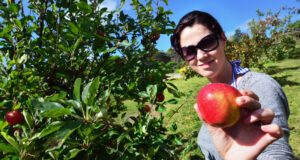 Apple Pectin: A Natural Radiation Protector And Gut Health Booster