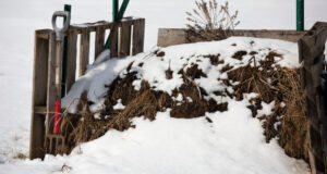 Composting in Cold Weather for a Thriving Spring “Super-Garden”