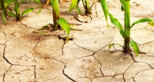 The Looming 2025 Drought Crisis