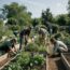 How Community Gardens Cultivate Faith, Fellowship, and All Kinds Of Nourishment