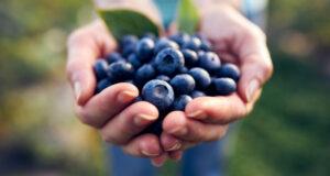 The Power of Blueberries: Natural Support for Brain and Heart Health